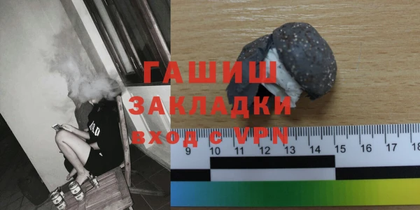 индика Новодвинск
