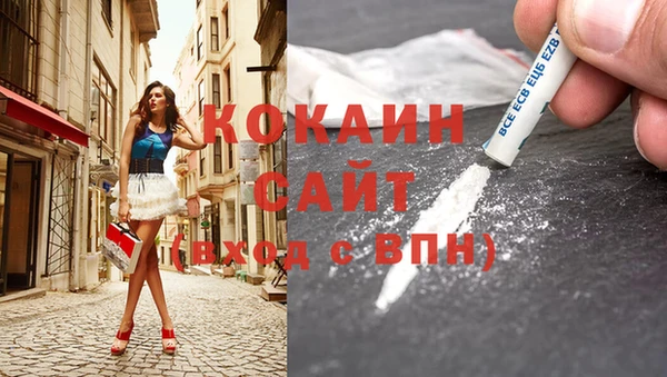 гашик Новокубанск
