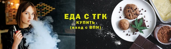 индика Новодвинск