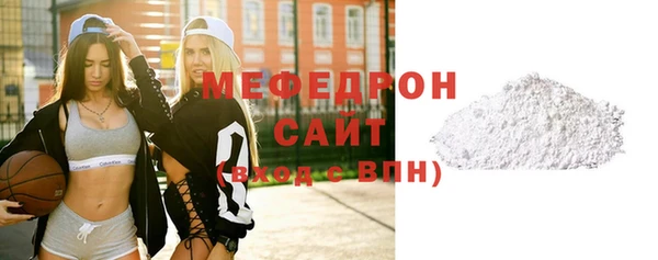 индика Новодвинск
