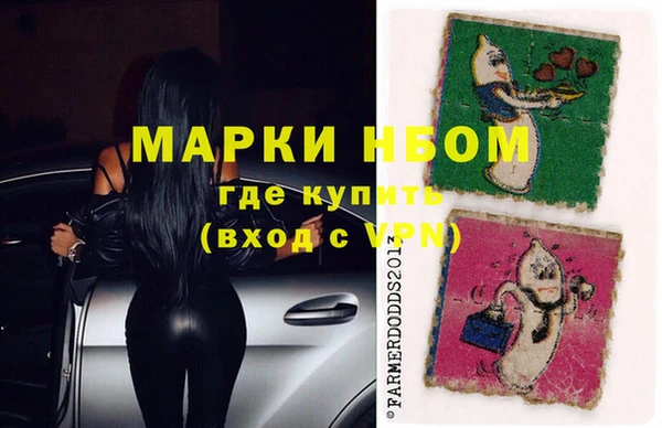 PSILOCYBIN Бикин