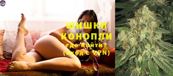 гашик Новокубанск