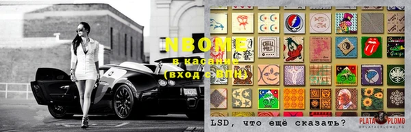 индика Новодвинск