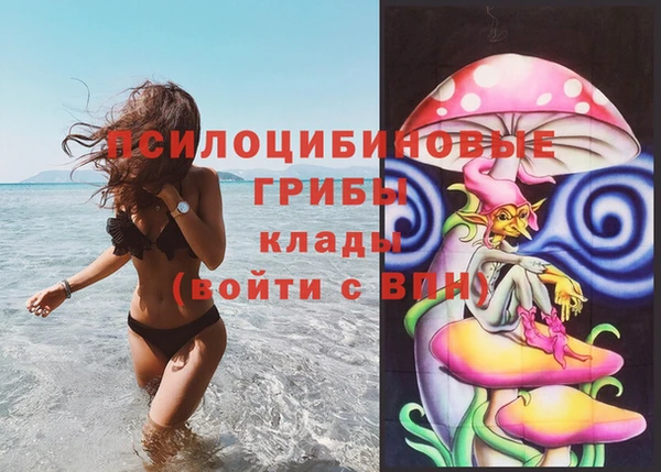 индика Новодвинск