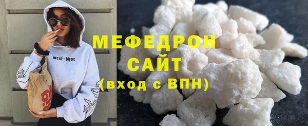 индика Новодвинск