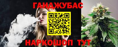 шишки Аргун