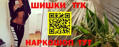 шишки Аргун