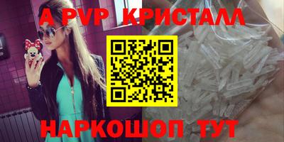 шишки Аргун