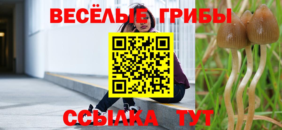 Псилоцибиновые грибы Psilocybine cubensis  Вход с VPN  Ипатово 