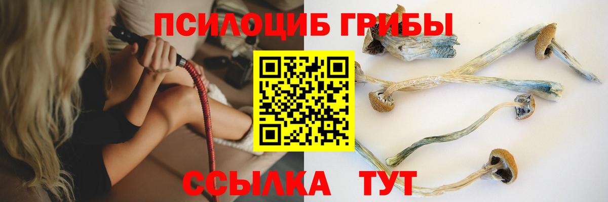 Галлюциногенные грибы GOLDEN TEACHER Ипатово